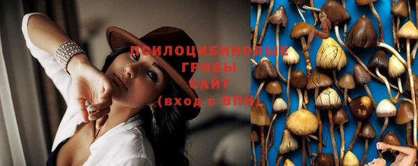 твердый Братск