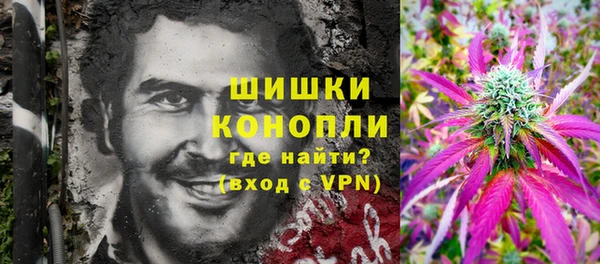амф Вуктыл