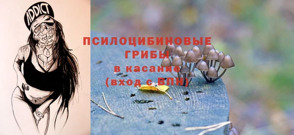 не бодяженный Новый Уренгой