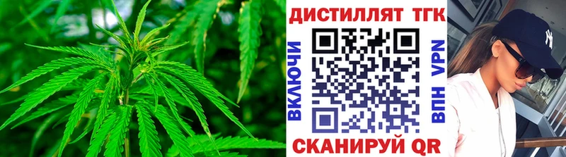 продажа наркотиков  Агрыз  ТГК THC oil 