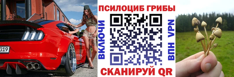 Галлюциногенные грибы мицелий  Агрыз 