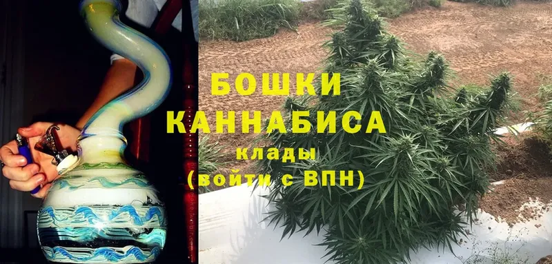 Бошки марихуана OG Kush  Агрыз 